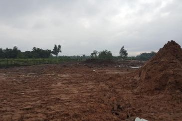 REVOLUSI HIJAU JOHAN SETIA