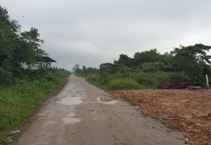 REVOLUSI HIJAU JOHAN SETIA