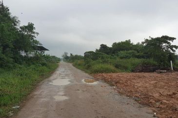 REVOLUSI HIJAU JOHAN SETIA