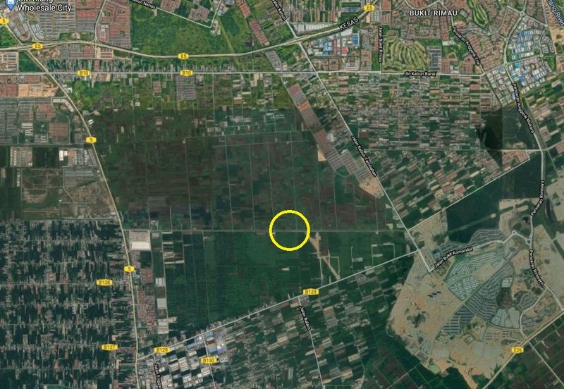 REVOLUSI HIJAU JOHAN SETIA