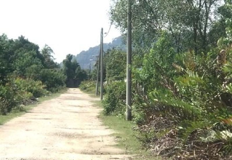 Industrial Zoning Land, Pulau Carey