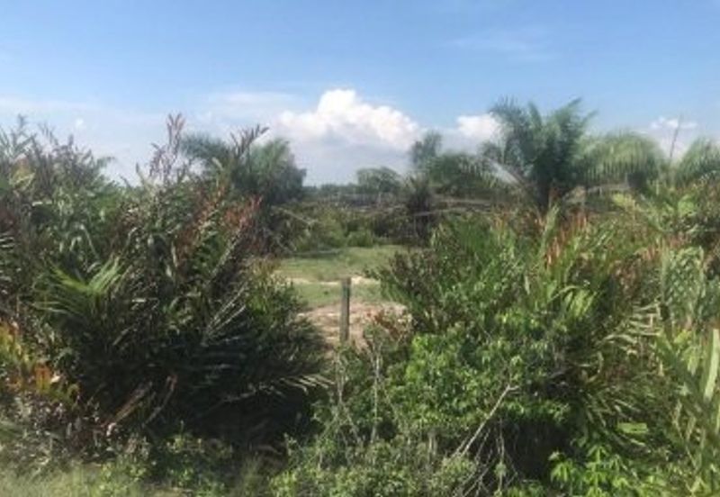 Industrial Zoning Land, Pulau Carey
