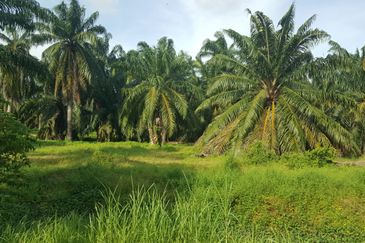 Industrial Land located at Jeram, Kuala Selangor 