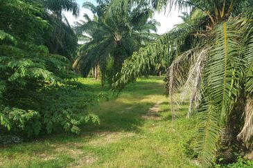 Industrial Land located at Jeram, Kuala Selangor 