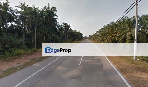 Agricultural Land (Below Market), Bestari Jaya , Selangor, Batang Berjuntai
