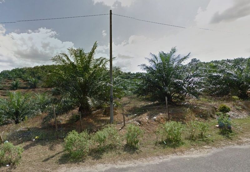 Agricultural Land, Hulu Berang, Hulu Terengganu