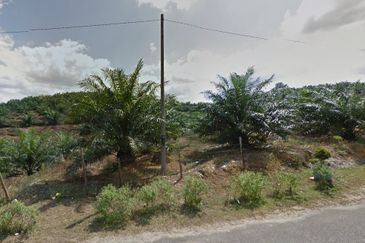 Agricultural Land, Hulu Berang, Hulu Terengganu