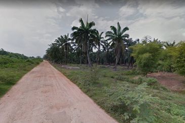 Rancangan Revolusi Hijau Bukit Cerakah, Bukit Ceraka Peringkat 1 - Ijok