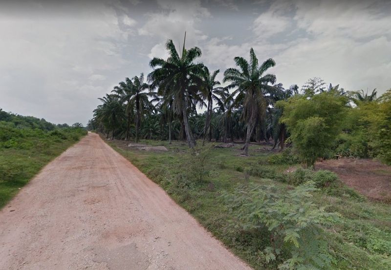 Rancangan Revolusi Hijau Bukit Cerakah, Bukit Ceraka Peringkat 1 - Ijok