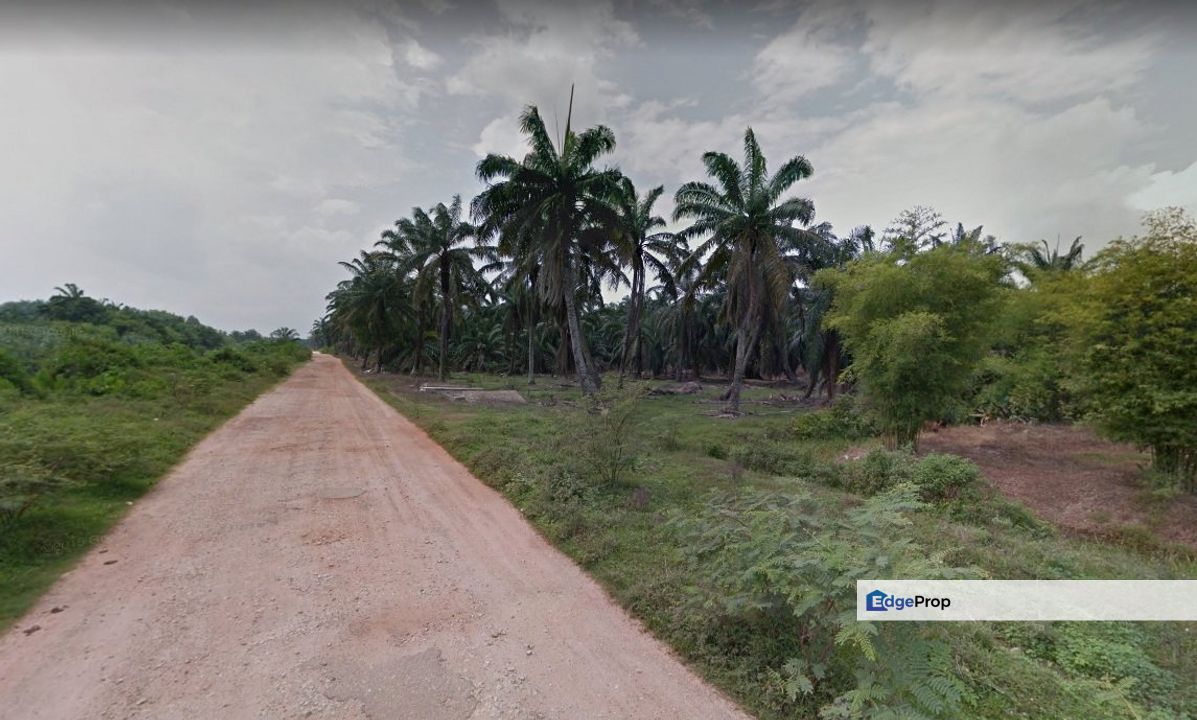 Rancangan Revolusi Hijau Bukit Cerakah, Bukit Ceraka Peringkat 1 - Ijok, Selangor, Sungai Buloh