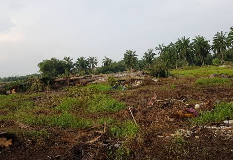 Kawasan Perusahaan Jenjarom