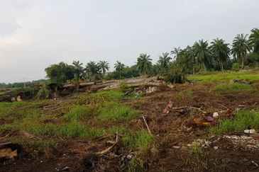 Kawasan Perusahaan Jenjarom