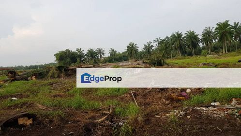 Agricultural land (Industrial Zoning), Jenjarom, Selangor, Jenjarom
