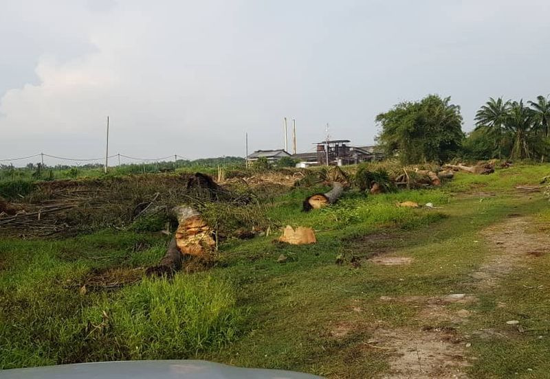 Kawasan Perusahaan Jenjarom