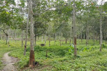 3ac agricultural land, Broga Semenyih, Lenggeng
