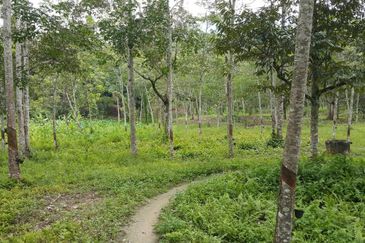 3ac agricultural land, Broga Semenyih, Lenggeng