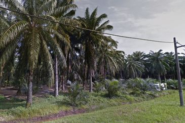 Jalan Bukit Kerayong 