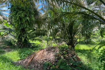 Industrial Zon Sungai Rambai Telok Panglima Garang