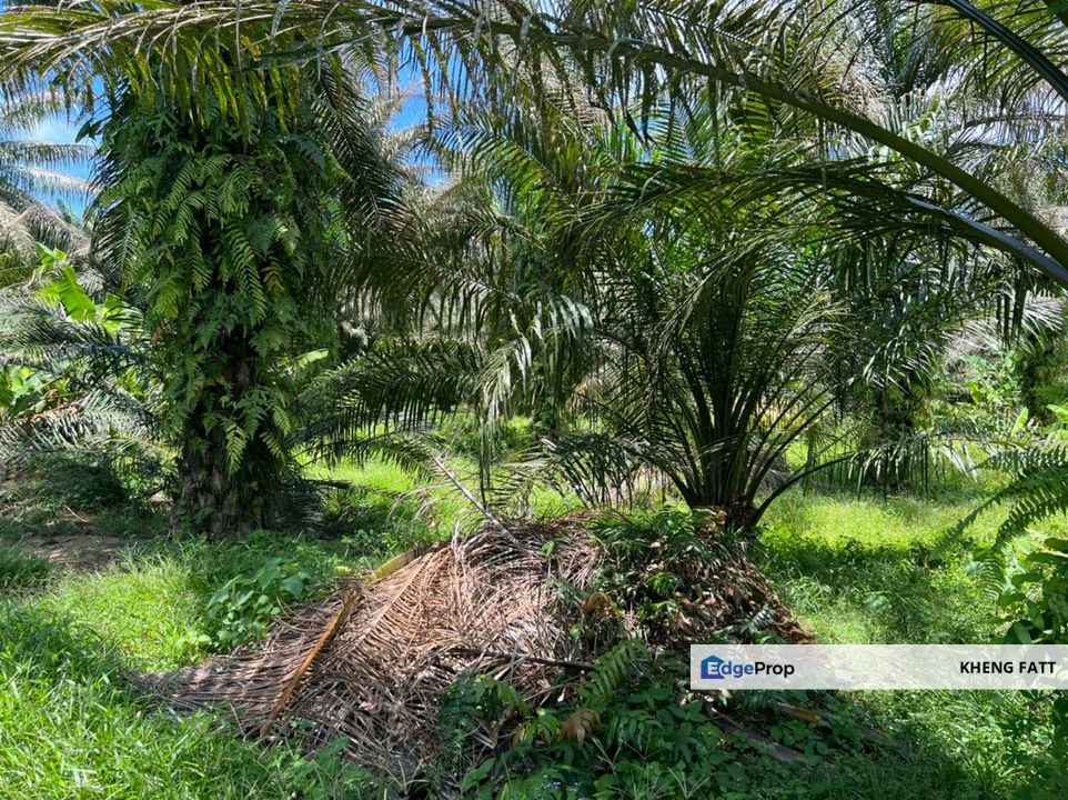 Industrial Zon Sungai Rambai Telok Panglima Garang, Selangor, Jenjarom