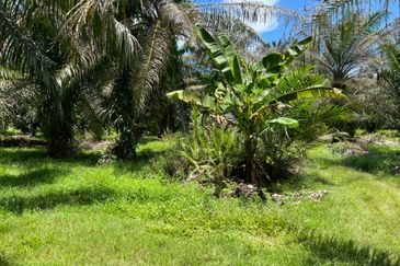 Industrial Zon Sungai Rambai Telok Panglima Garang
