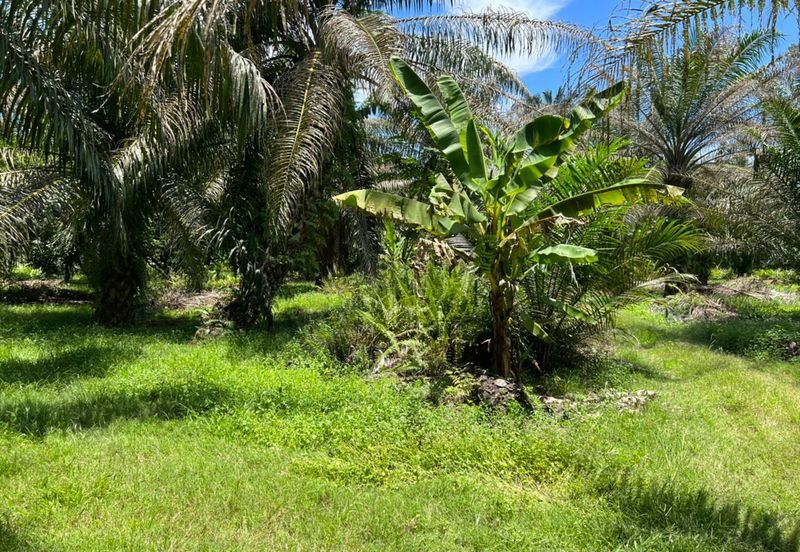 Industrial Zon Sungai Rambai Telok Panglima Garang
