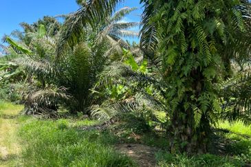 Industrial Zon Sungai Rambai Telok Panglima Garang
