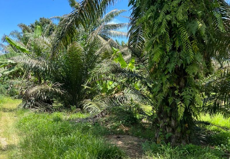 Industrial Zon Sungai Rambai Telok Panglima Garang