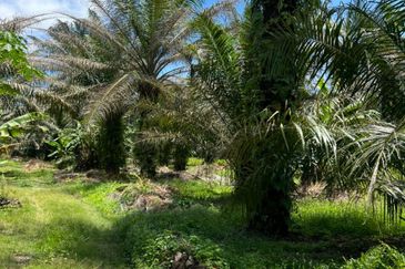 Industrial Zon Sungai Rambai Telok Panglima Garang