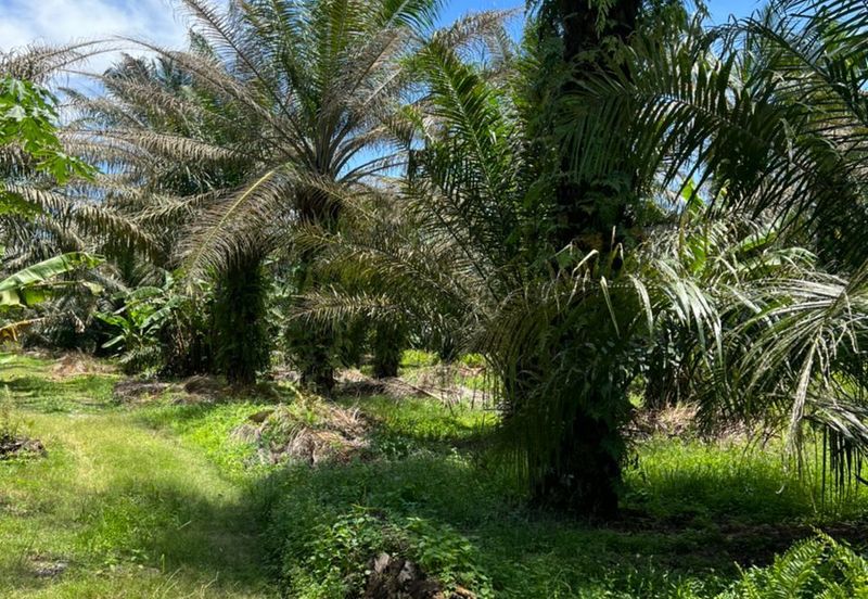 Industrial Zon Sungai Rambai Telok Panglima Garang