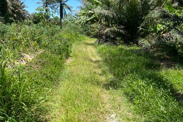 Industrial Zon Sungai Rambai Telok Panglima Garang