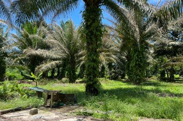 Industrial Zon Sungai Rambai Telok Panglima Garang