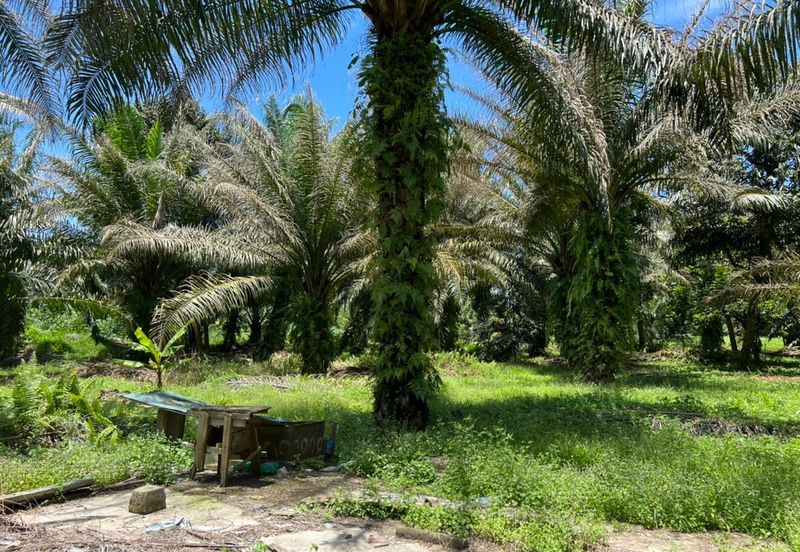 Industrial Zon Sungai Rambai Telok Panglima Garang