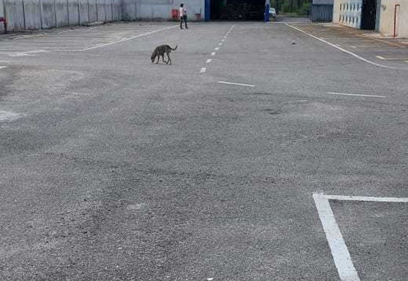 Factory Jalan Klang Banting Jenjarom for Sale