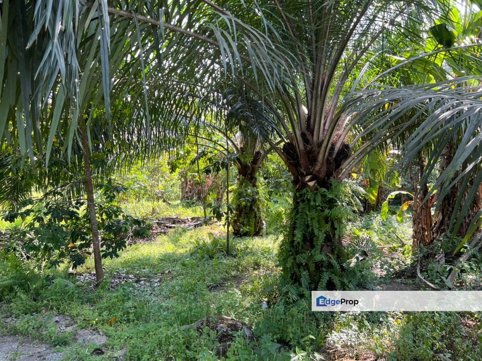 Industrial Zoning Land @ Tanjung Dua Belas, Bantin, Selangor, Banting