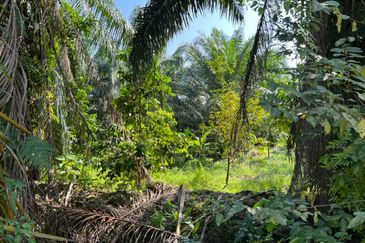 Industrial Zoning Land @ Tanjung Dua Belas, Bantin