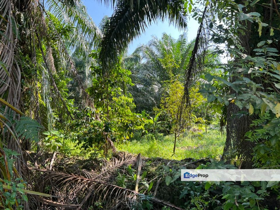 Industrial Zoning Land @ Tanjung Dua Belas, Bantin, Selangor, Banting