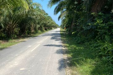 Industrial Zoning Land @ Tanjung Dua Belas, Bantin