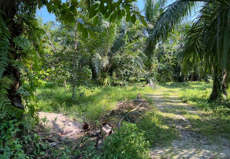 Industrial Zoning Land @ Tanjung Dua Belas, Bantin