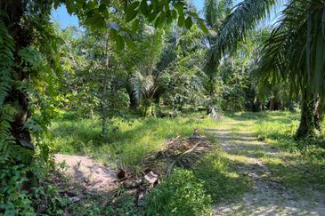 Industrial Zoning Land @ Tanjung Dua Belas, Bantin