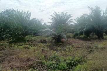 Agricultural Land, Bukit Gagak, Tanjung Dua Belas,