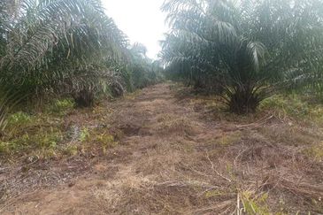 Agricultural Land, Bukit Gagak, Tanjung Dua Belas,