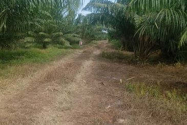Agricultural Land, Bukit Gagak, Tanjung Dua Belas,