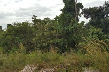 Pulau Meranti ( Industrial )