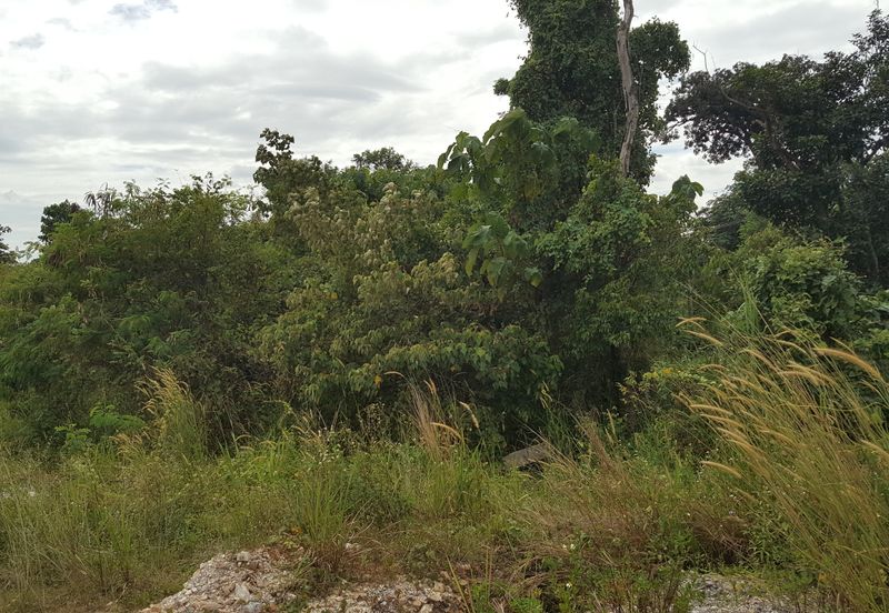 Pulau Meranti ( Industrial )