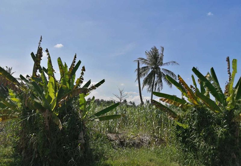 5 acres  Industrial Zoning Land, Jeram for Sale