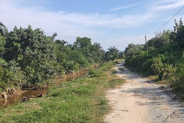 Agricultural Land Telok Mengkuang Panglima Garang