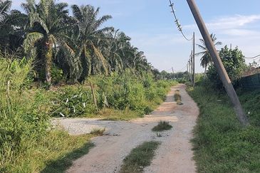 Agricultural Land Telok Mengkuang Panglima Garang