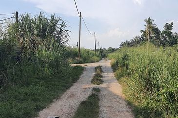 Agricultural Land Telok Mengkuang Panglima Garang