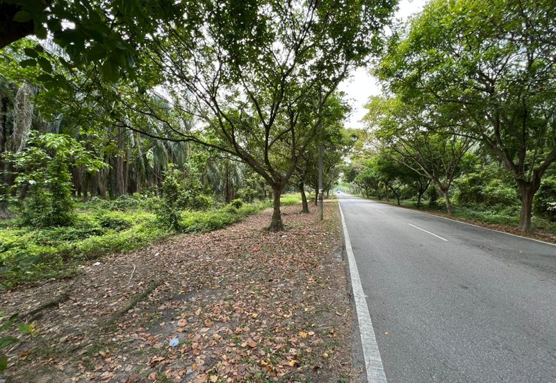 Rancangan Tanah Belia, RTB Bukit Changgang