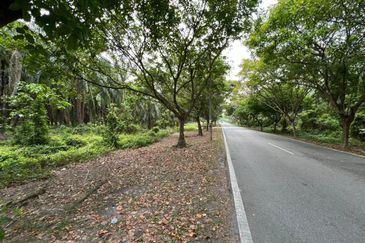 Rancangan Tanah Belia, RTB Bukit Changgang